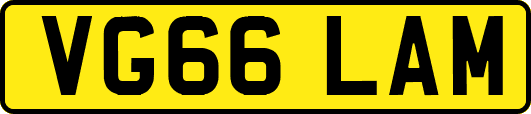 VG66LAM