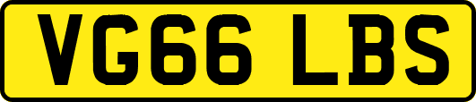 VG66LBS
