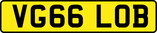 VG66LOB