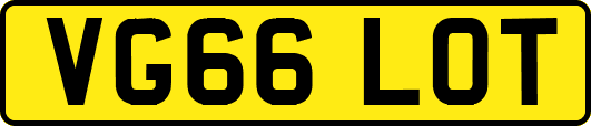 VG66LOT