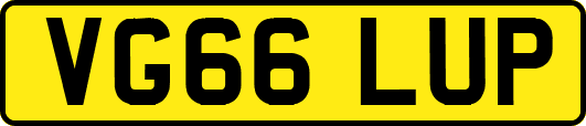 VG66LUP