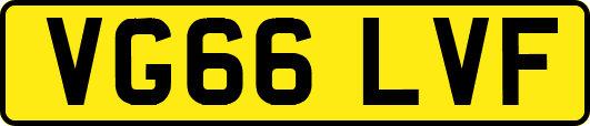 VG66LVF