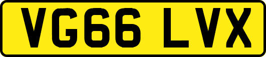 VG66LVX