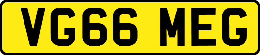 VG66MEG