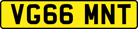 VG66MNT