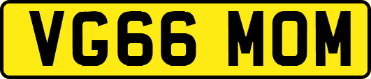VG66MOM