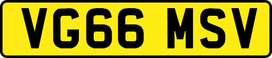 VG66MSV