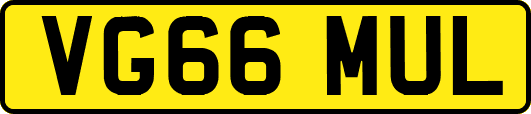 VG66MUL