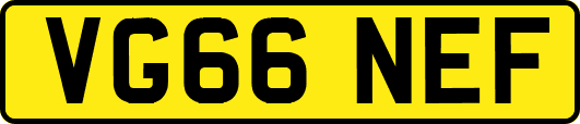 VG66NEF
