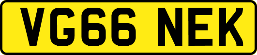 VG66NEK
