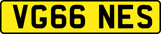 VG66NES