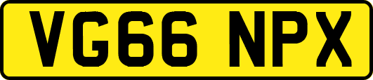 VG66NPX