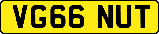 VG66NUT