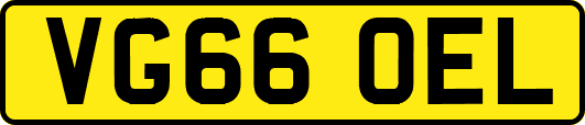 VG66OEL