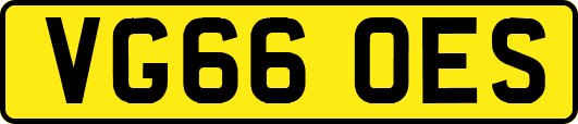 VG66OES