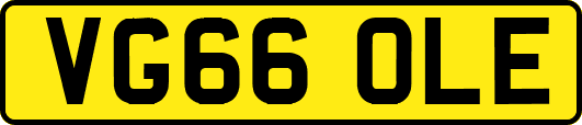 VG66OLE
