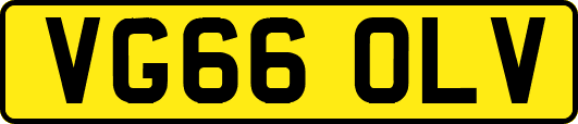 VG66OLV