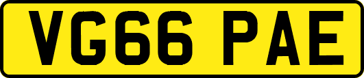 VG66PAE