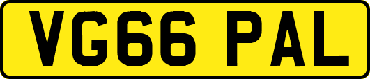 VG66PAL