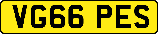 VG66PES