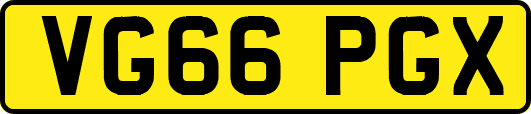VG66PGX