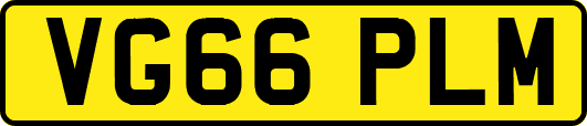 VG66PLM