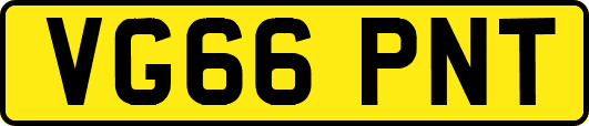 VG66PNT