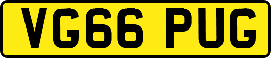 VG66PUG