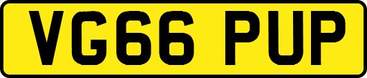 VG66PUP