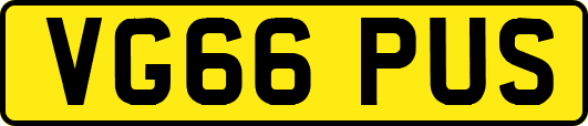 VG66PUS