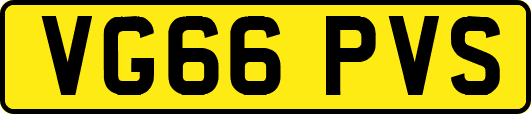 VG66PVS