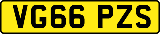 VG66PZS