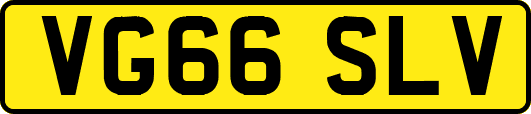 VG66SLV