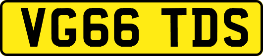 VG66TDS