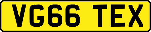 VG66TEX