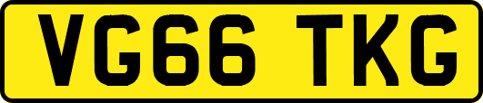 VG66TKG