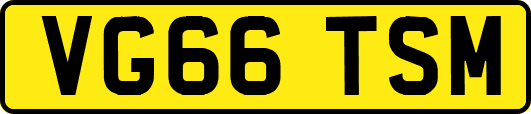 VG66TSM