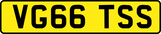 VG66TSS