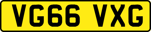 VG66VXG