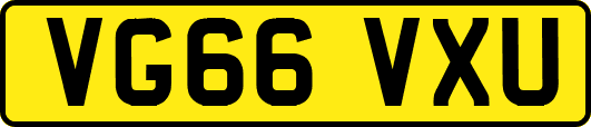 VG66VXU