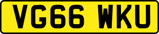 VG66WKU