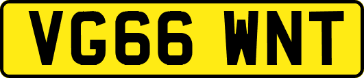 VG66WNT