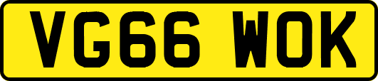 VG66WOK