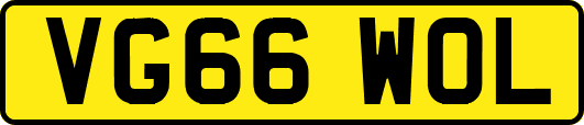 VG66WOL