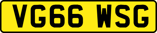 VG66WSG