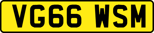 VG66WSM