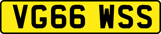 VG66WSS