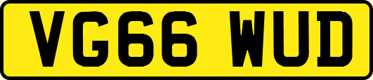VG66WUD