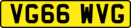 VG66WVG