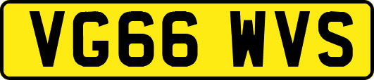 VG66WVS